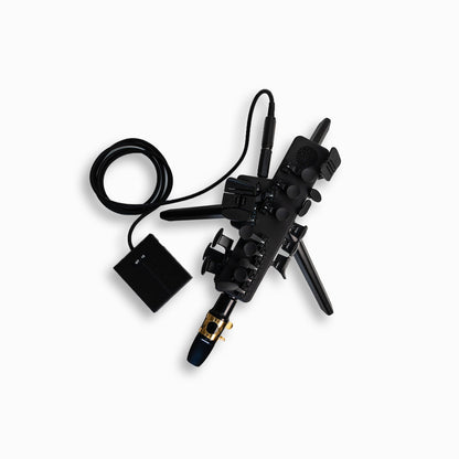 Adaptive Travel Sax 2